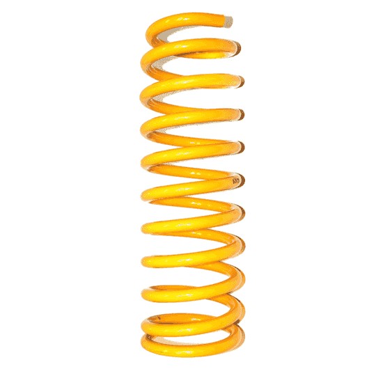 Front Coil Spring – Honda CR-V RD5-RD7